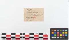 Etiketten zu Bronzemehrkopfnadel (NHMW-PRAE-023772)